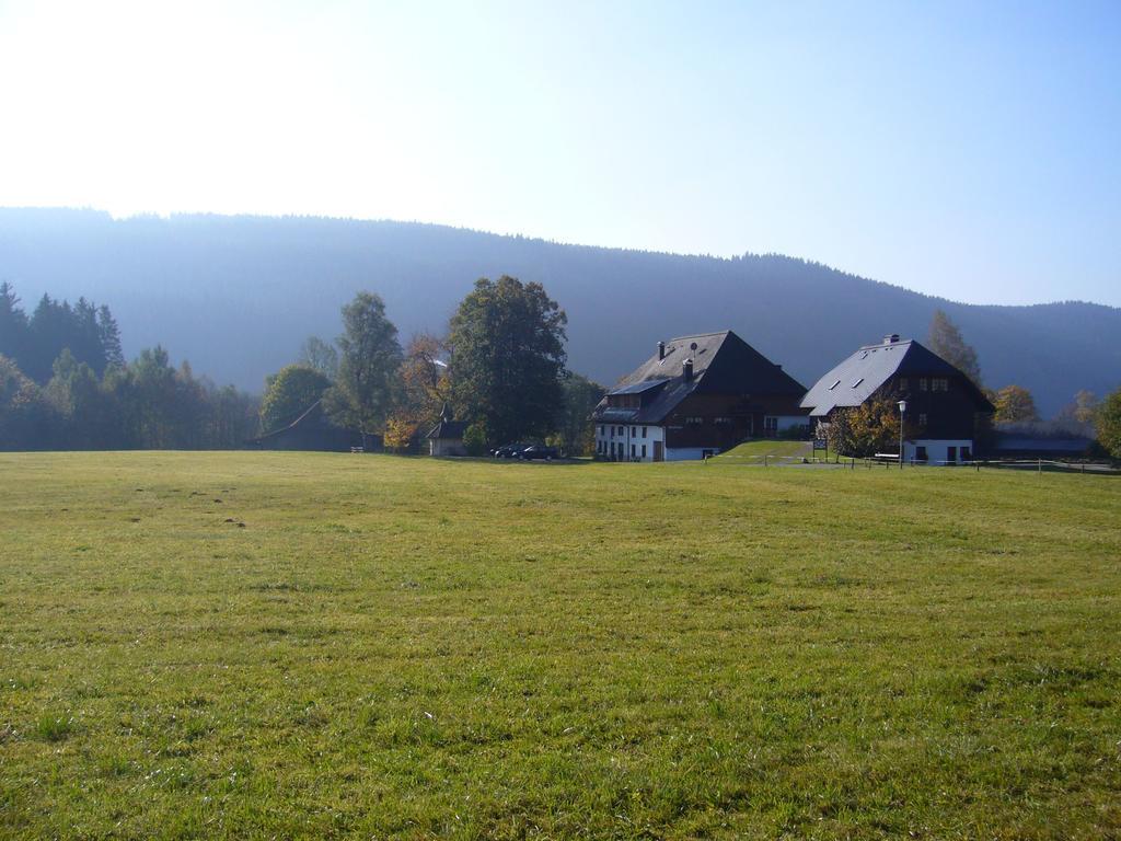 Hermeshof Und Biohaus Titisee-Neustadt Eksteriør billede